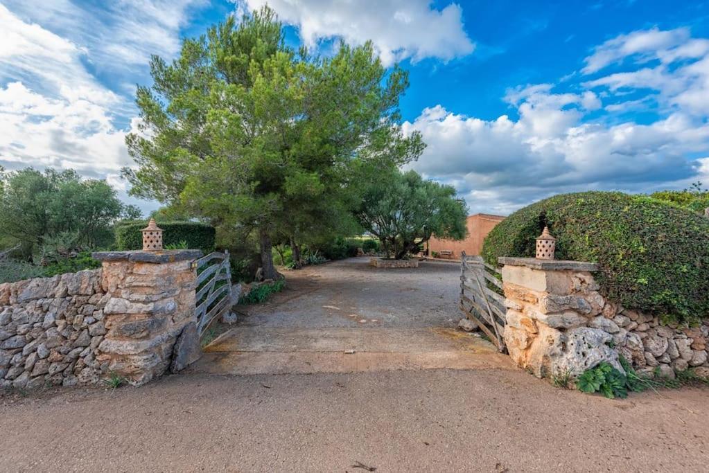 Ca'n Tomeu. Vakantiehuis Ses Salines (Mallorca)